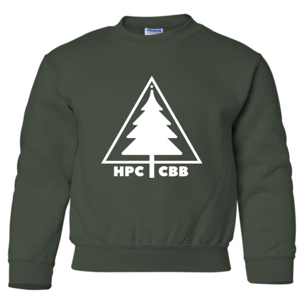 CBB - Heavy Blend™ Youth Sweatshirt Thumbnail