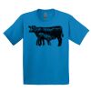 GILDAN® ULTRA COTTON® YOUTH T-SHIRT Thumbnail